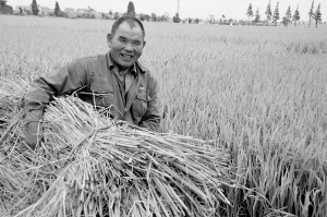 一位农民正笑呵呵地抱着一捆整理好的稻秆，准备带回家编草绳。