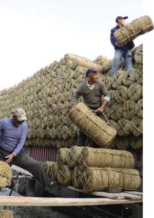 10月31日，如东县福民草制品专业合作社装载工将一家一户搓的草绳装车，发运西安。（杨新明/摄）