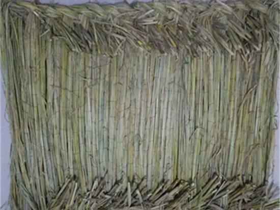 护坡草袋：修复自然，保护生态平衡之捍卫者
