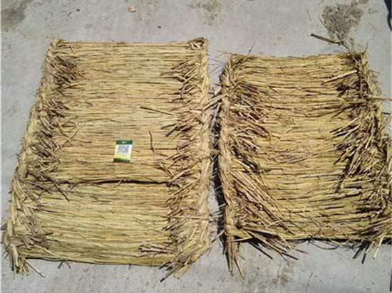 护坡草袋：保护土壤，促进农业可持续发展的利器