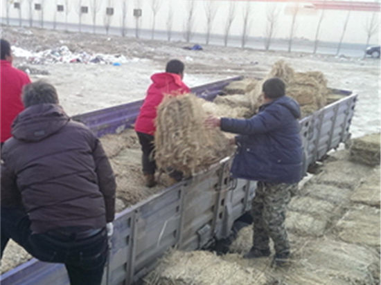 绿色城市的必备神器：绿化草袋让城市更美丽