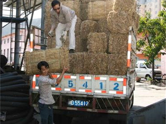 绿化草袋：城市绿化的新宠儿