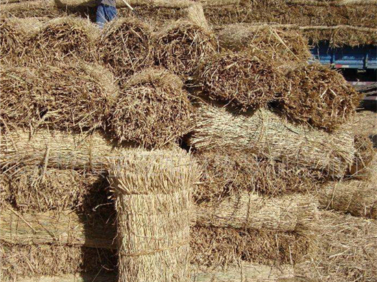 草苫加工技术：优化农业生产结构的有效路径