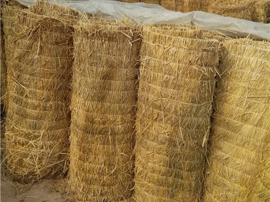 草苫加工技术：提高农业生产效率的秘密武器