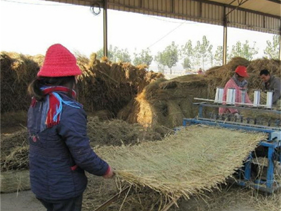 如何根据耐候性选择草苫规格？助您选购适合产品