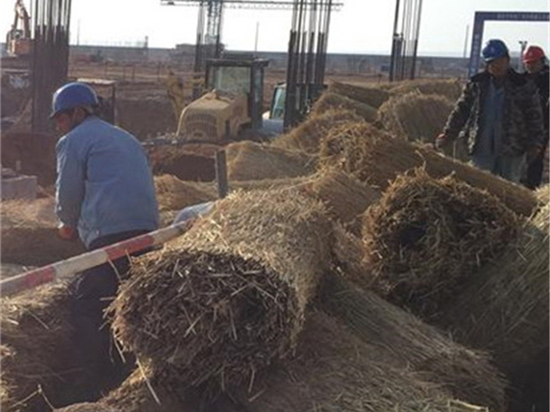 草苫加工技术：传统农民转型升级的有效途径