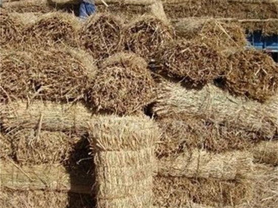 草苫加工技术：发挥草原优势，促进农牧产业协调发展