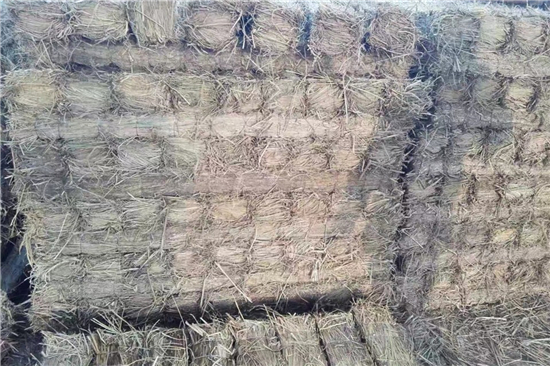 卷钢草支垫：农业生产自动化的缩影
