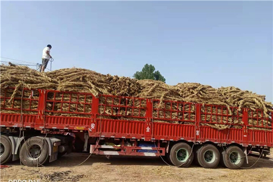 钢厂铁路装载加固防滑草支垫的案例分析