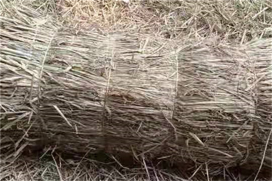 稻夫草支垫在铁路货运中的平稳支撑作用(稻草垫厚度不得小于且压实后不得小于10mm)