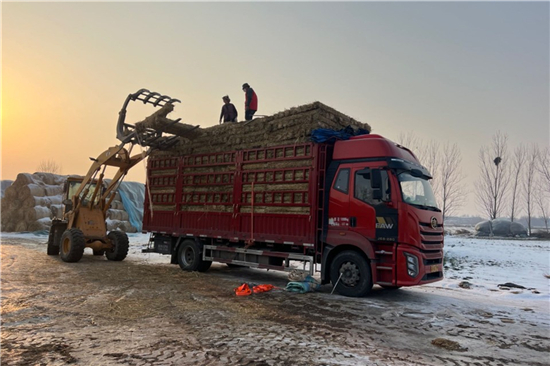 钢厂铁路运输防滑加固稻夫草支垫的国内外发展现状(稻夫草编制品厂)