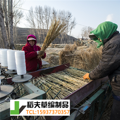 实拍农民稻田收割后稻草的利用,编织成草帘子发往全国各地