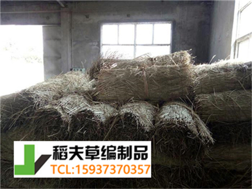 实拍农民稻田收割后稻草的利用,编织成草帘子发往全国各地